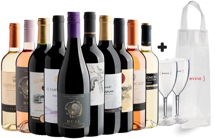 Kit com 10 vinhos, 2 taças e 1 icebag